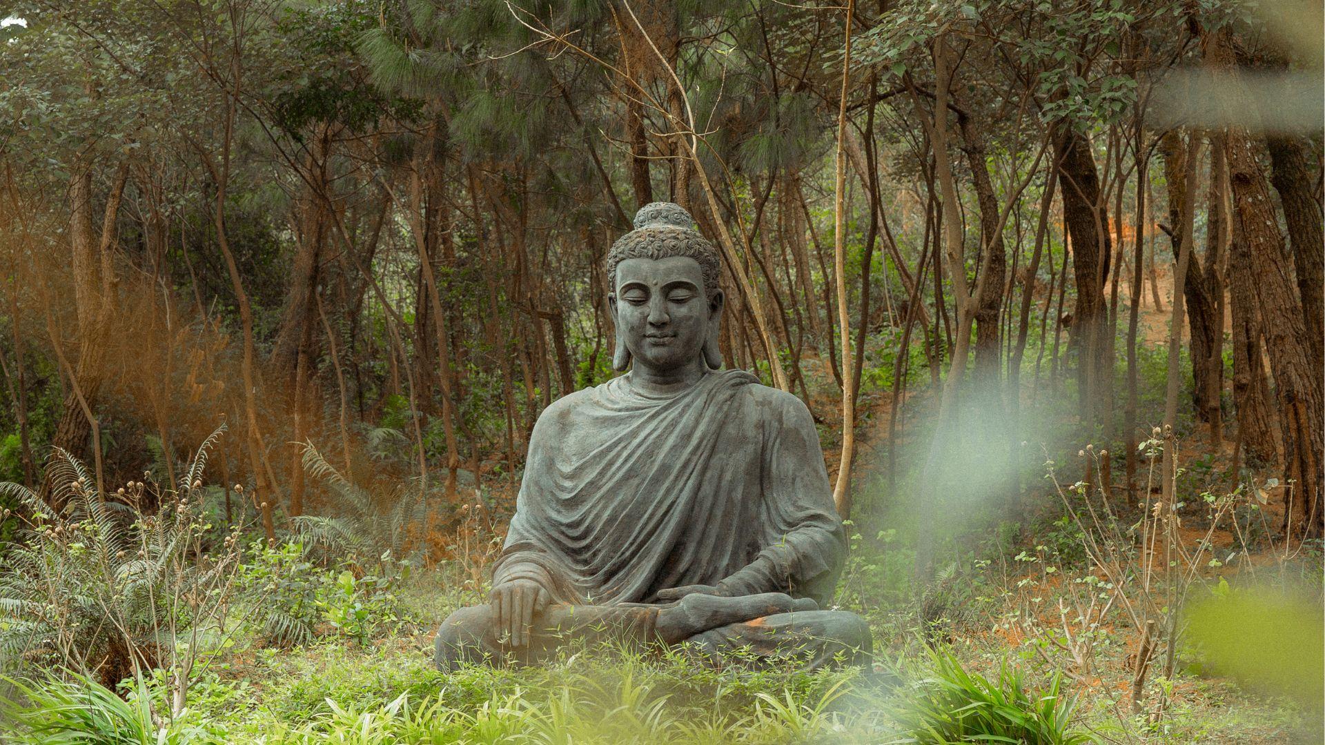 Meditación