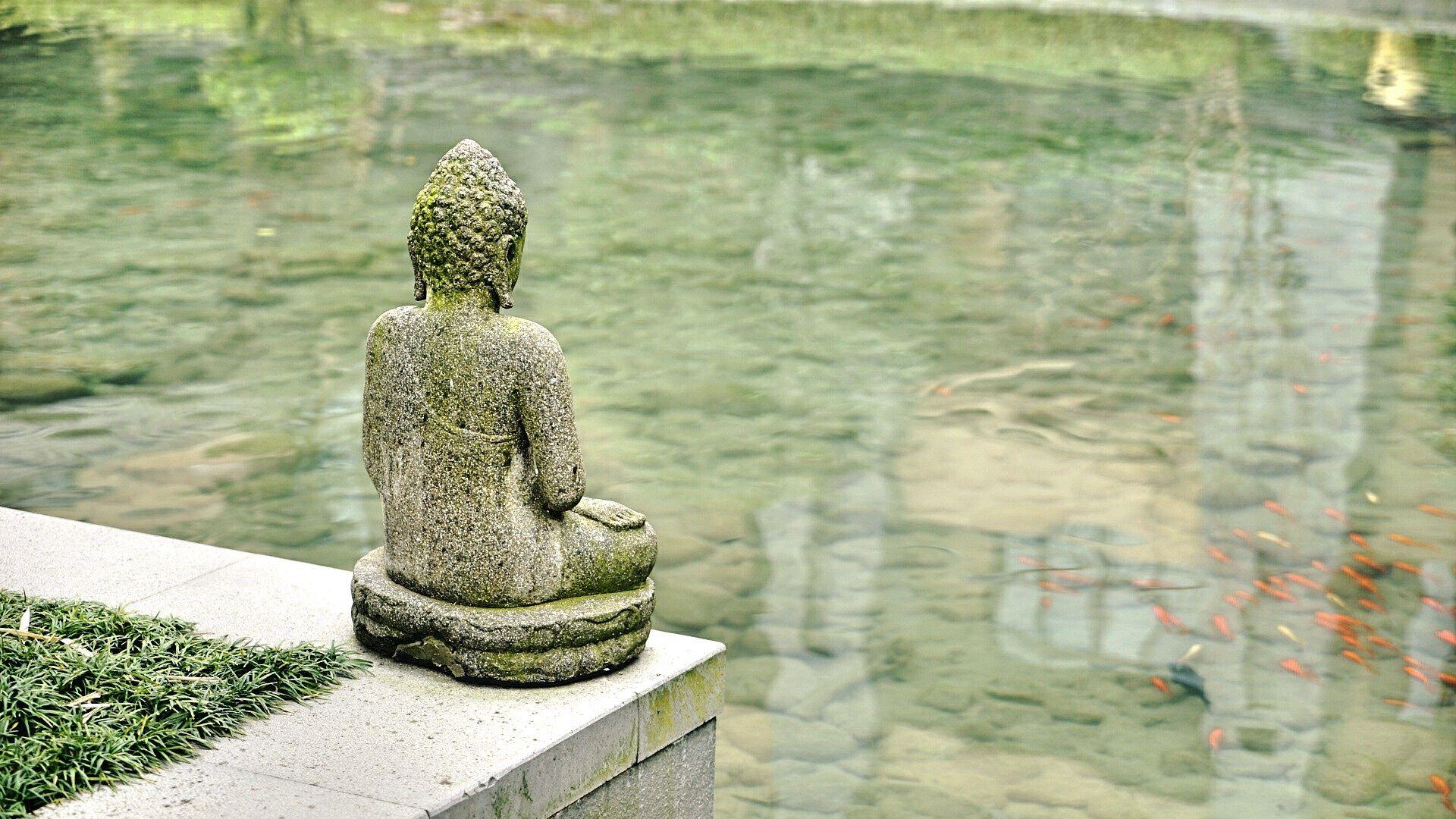 Meditación4