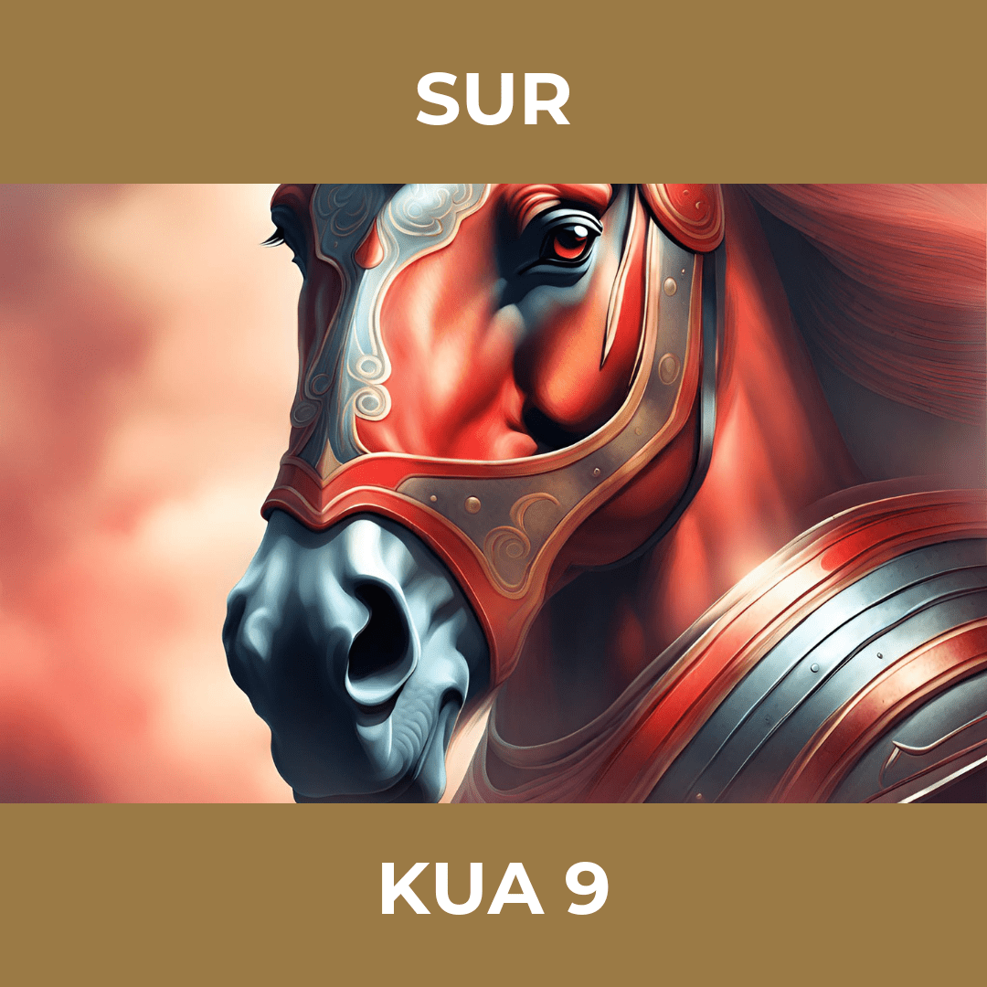 Pop-up Image